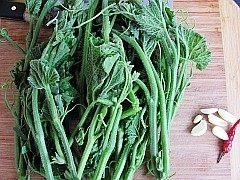 吃瓜吃出瓜秧,瓜秧生长记