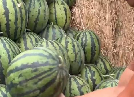 全国吃瓜爆笑视频,笑料百出，欢乐无限