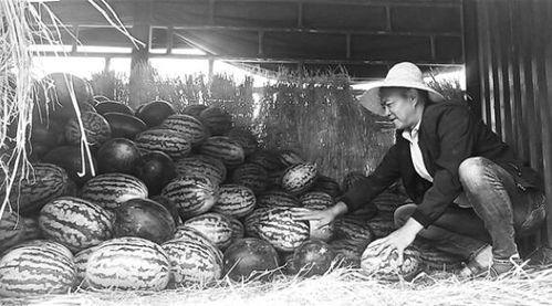 吃瓜群众雕塑视频,趣味横生的社会现象缩影