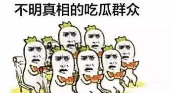 吃瓜懂你,吃瓜群众视角下的社会百态解析
