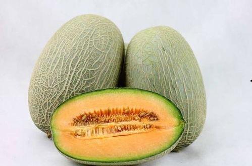 狗头人吃哈密瓜,一场意外的美味邂逅