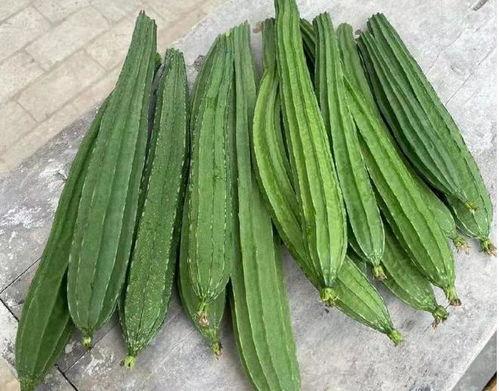 吃脆瓜的样子,尽享夏日清新滋味