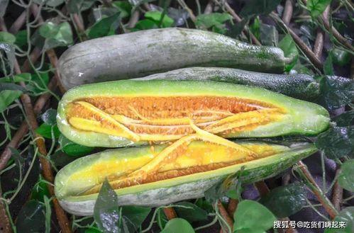吃脆瓜的样子,尽享夏日清新滋味