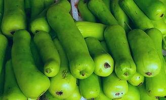 吃蒲瓜后咳嗽,揭秘食用后的身体反应