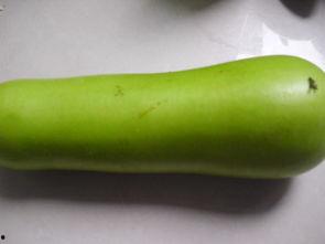 哺乳期吃葫芦瓜好吗,哺乳期妈妈适宜食用葫芦瓜的益处