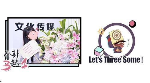 南风吃瓜小说,一场穿越时空的甜蜜瓜事