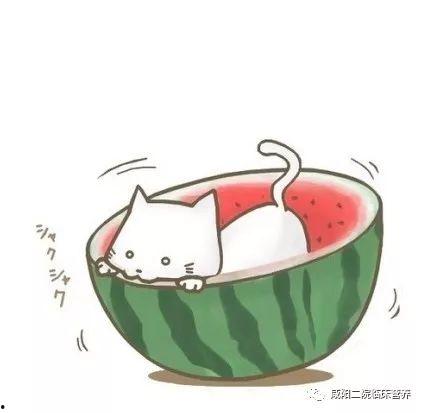 吃瓜动漫128集,揭秘剧情高潮与角色命运转折