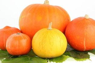 发烧可以吃华瓜吗,华瓜能否成为食疗佳选？