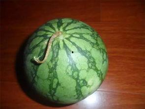 吃瓜必看的视频,一网打尽全网热议瞬间