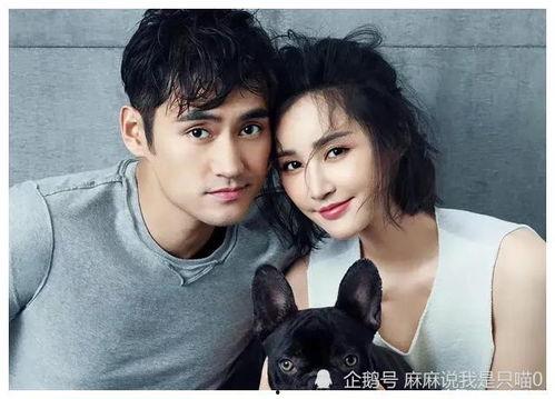 明星吃瓜小分队