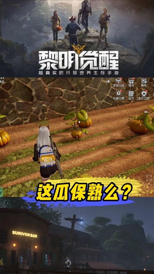 黎明觉醒吃瓜咸鱼,咸鱼吃瓜，揭秘网络热梗背后的故事