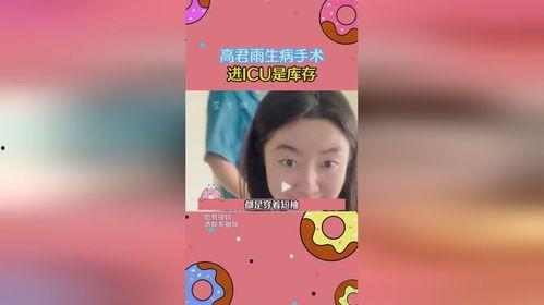 小说卧底也吃瓜,瓜田里的秘密较量