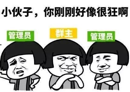 吃瓜群主多吗,社交圈中的“瓜田”盛况