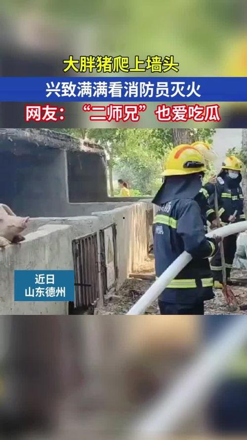 消防员吃瓜图片,吃瓜瞬间捕捉夏日清凉时光