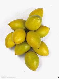 吃李李瓜,探寻李李瓜的独特魅力