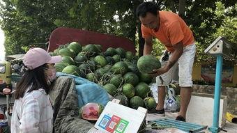 每日吃瓜山东济宁,探寻山东济宁的美食风情
