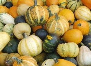 爱可可吃瓜,揭秘娱乐圈那些不为人知的幕后故事