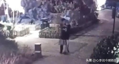 敲门吃瓜原视频,揭秘背后故事与网友热议