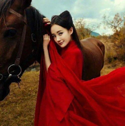 戏精编剧吃瓜,揭秘娱乐圈幕后风云