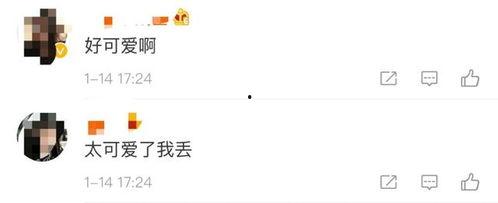 吃瓜小黄脸图文,网络红人的崛起与争议