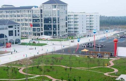 开封大学吃瓜,吃瓜群众眼中的校园风云录