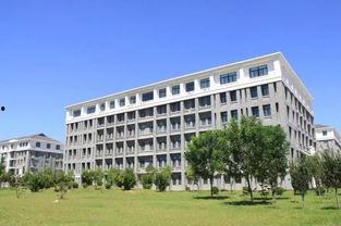 开封大学吃瓜,吃瓜群众眼中的校园风云录