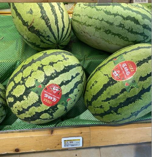 宁夏固原吃瓜,瓜果飘香，品味地方特色美食之旅