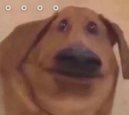 吃半天瓜也没吃明白,半日瓜果盛宴，谜团依旧未解