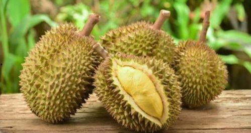 网纹瓜能和榴莲一起吃吗,美味搭配的禁忌与建议