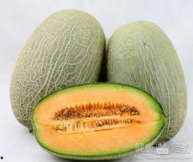 小猫吃哈密瓜,一场味蕾与视觉的盛宴