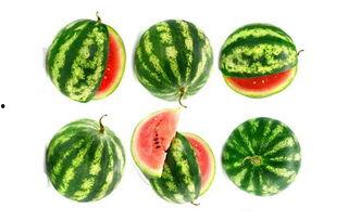 吃瓜的苞米女王,吃瓜界的风云人物