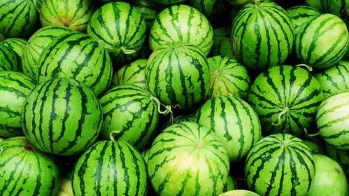 吃瓜火爆,揭秘网络热议背后的真相与趣味