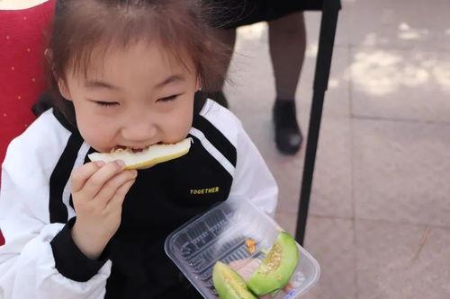 吃瓜火爆,揭秘网络热议背后的真相与趣味