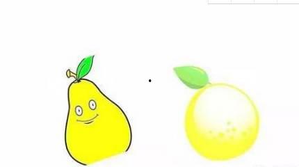 形容吃瓜的瓜楂的成语,成语中的吃瓜智慧