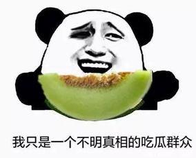 认真当吃瓜群众,揭秘娱乐圈幕后真相