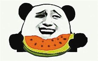 可以吃瓜了意思,终于可以吃瓜，明星幕后故事大公开