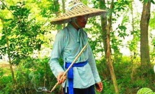 项羽吃瓜,揭秘古代战场上的闲情逸致