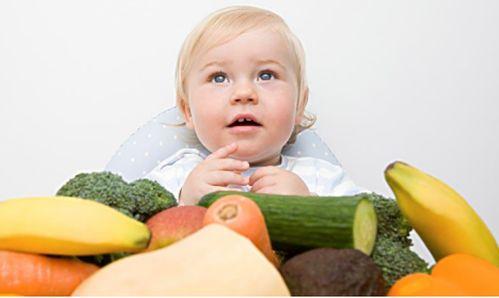 吃瓜宿伞团,一场趣味横生的奇幻冒险之旅