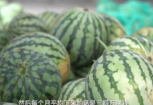 奕甜甜吃的什么瓜,揭秘她钟爱的美味瓜果