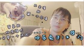 兔子吃瓜主播,揭秘网络主播的趣味生活