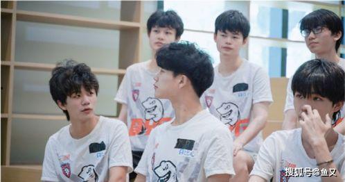 瓶子解说吃瓜大会,揭秘吃瓜大会背后的趣味与真相