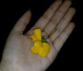 吃瓜全套资料视频,揭秘娱乐圈幕后真相