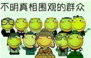 西安吃瓜群众瓜瓜,吃瓜群众瓜瓜带你一探究竟