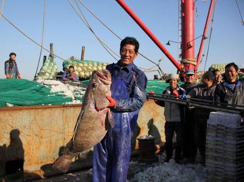 舟山吃瓜渔民被杀,悲剧背后的海洋安全警钟