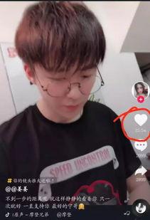 摩登兄弟吃瓜群众,揭秘网络红人的幕后故事