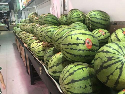 大量吃瓜视频,揭秘海量吃瓜视频背后的趣味与真相