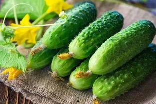 减肥吃嫩瓜