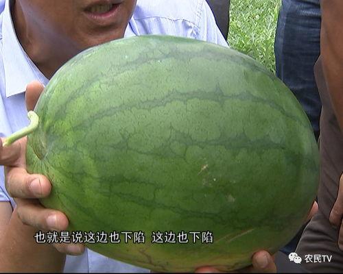 吃瓜搬运备份博,幕后故事大揭秘