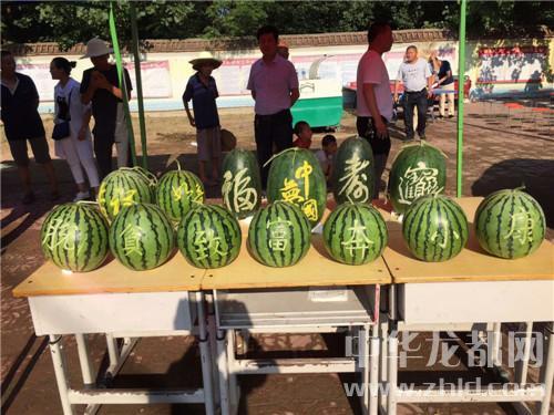 周口太康常营吃瓜,夏日炎炎，吃瓜群众欢乐多