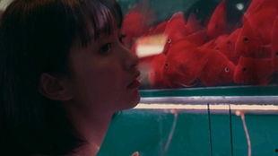 吃瓜女孩1998,见证时代变迁的青春印记